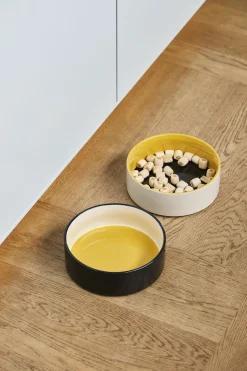 New Dogs Bowl-Large-Yellow, blue Til Boligens Kæledyr