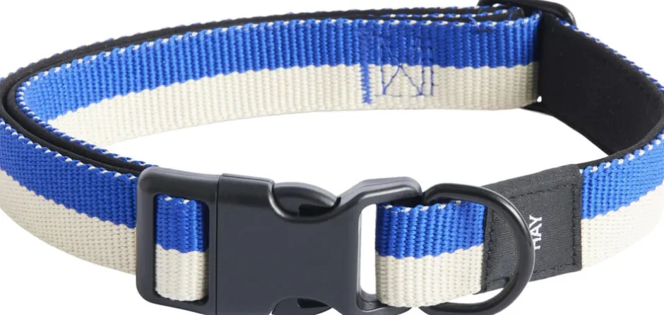Sale Dogs Collar Flat-M/L-Blue, off- Til Boligens Kæledyr
