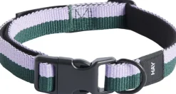 Hay Til Boligens Kæledyr>Dogs Collar Flat-S/M-Lavender,