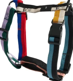 Dogs Harness-Medium-Multi colou-Hay