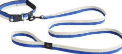 Dogs Leash-Flat M/L-Blue, off-w-Hay New