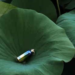 Montale Nicheparfumer><noscript><img width=