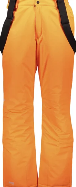 Hippach Skibukser-MCKINLEY