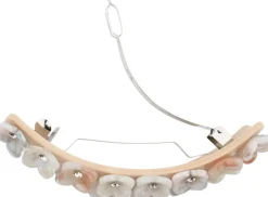 I Can Buy Myself Flowers Clip-SUI AVA Hot