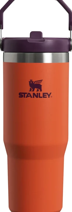 IceFlow Flip Straw Tumbler 0.89L-Stanley Clearance