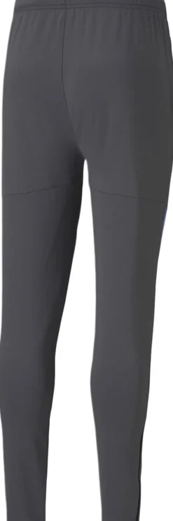 IndividualCUP træningsbukser-Puma