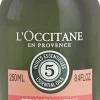 Intensive Repair Conditioner 250ml-L'Occitane Clearance
