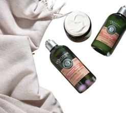 Intensive Repair Conditioner 250ml-L'Occitane Clearance