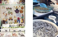 New Mags Bøger><noscript><img width=