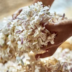 J'adore Eau de parfum-DIOR Clearance