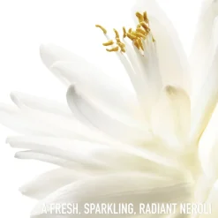 Outlet J'adore Eau de Toilette Roller-Pearl Rejsestørrelser