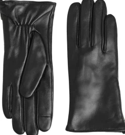 KathMBG Glove-Markberg Best