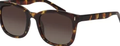 Online KATYA recycled sunglasses tortoise brown/gold Dame Briller