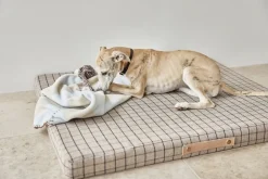 OYOY Living Design Til Boligens Kæledyr><noscript><img width=