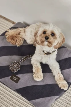 Kaya Hundetæppe - Stor-OYOY Living Design Best