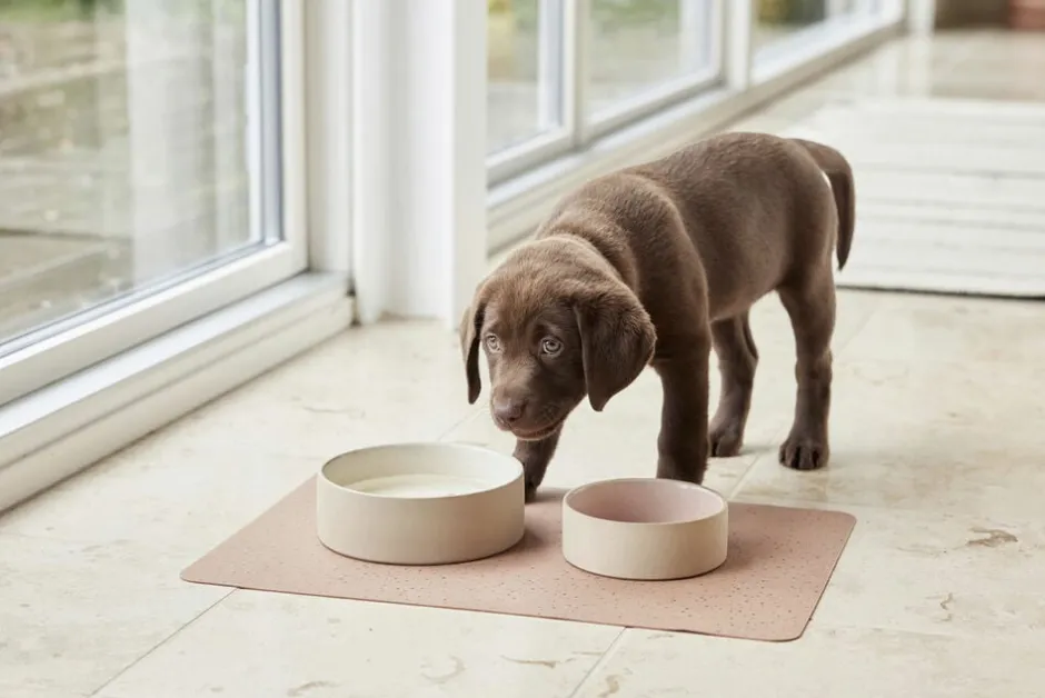 Koko Hundeskål Måtte-OYOY Living Design Hot