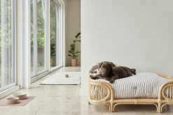 Koko Hundeskål Måtte-OYOY Living Design Hot