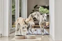 Koko Hundeskål Måtte-OYOY Living Design Hot