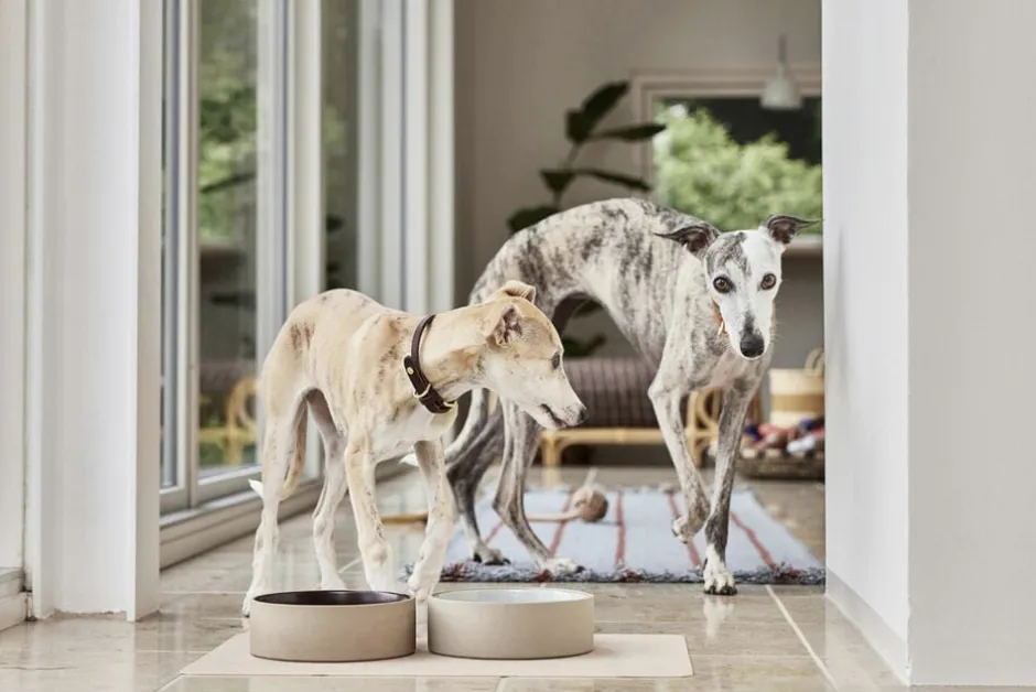 Koko Hundeskål Måtte-OYOY Living Design Hot