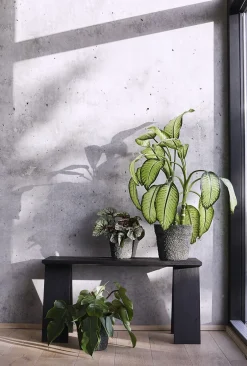 Krukke Mosu 16-Muubs Hot