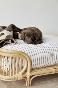 OYOY Living Design Til Boligens Kæledyr><noscript><img width=