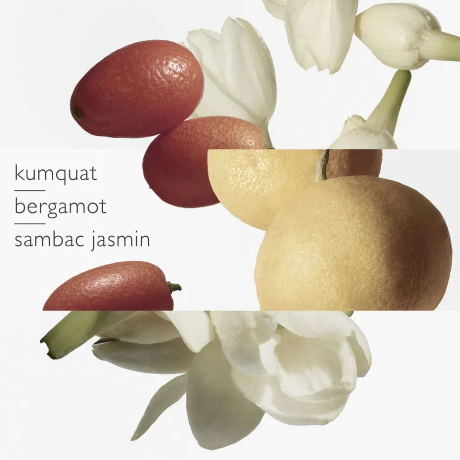 Outlet Le Jardin de Monsieur Li Eau de Toilette Nicheparfumer|Eau De Toilette