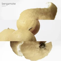 Outlet Le Jardin de Monsieur Li Eau de Toilette Nicheparfumer|Eau De Toilette