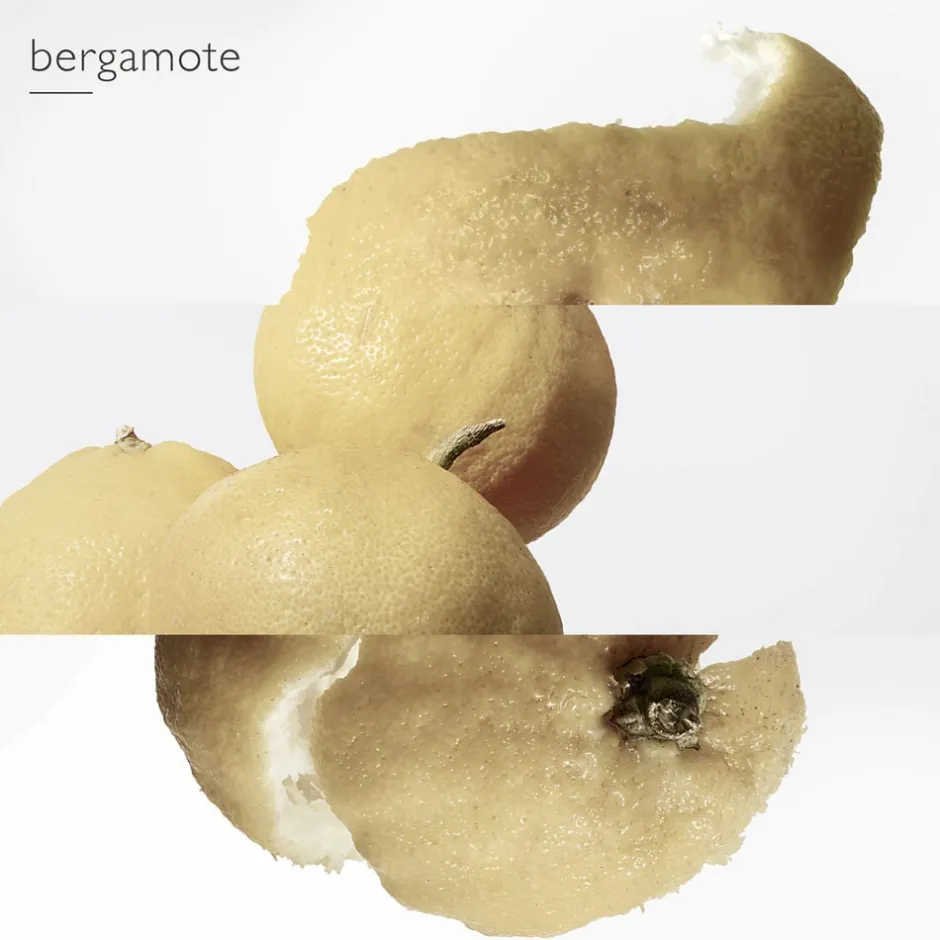 Outlet Le Jardin de Monsieur Li Eau de Toilette Nicheparfumer|Eau De Toilette