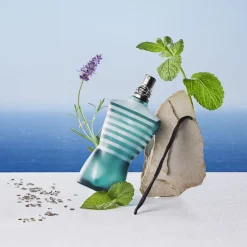 Online Le Male All-over shower gel 200 ml Hudpleje|Hudpleje