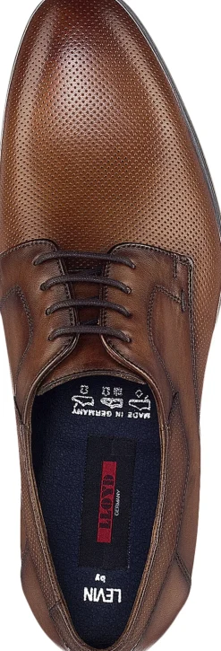 LEVIN-Lloyd Discount