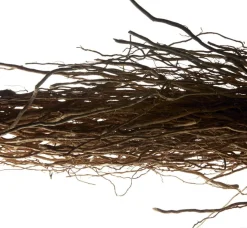 L'Homme Eau De Toilette Eau De Toilette