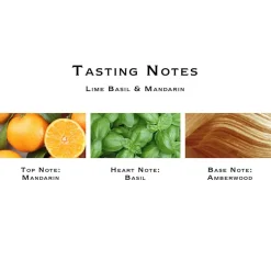 Lime Basil & Mandarin Cologne Eau De Cologne