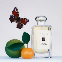 Lime Basil & Mandarin Cologne Eau De Cologne