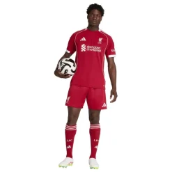 adidas Træningsshorts>Liverpool 25/26 Hjemmebaneshorts