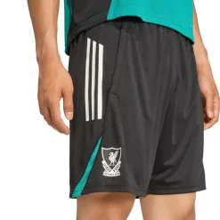 adidas Træningsshorts>Liverpool EU Shorts