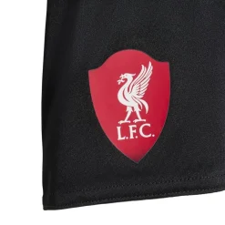 Liverpool FC 25/26 Udebanesæt-adidas