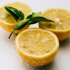 Loewe Perfumes Eau De Toilette>LOEWE Agua Mar de Coral Eau de Toilette