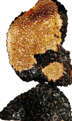 Loewe Perfumes Nicheparfumer><noscript><img width=