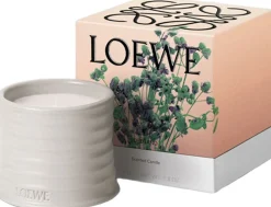 Loewe Perfumes Dufte Til Hjemmet>LOEWE Oregano Soap Bar