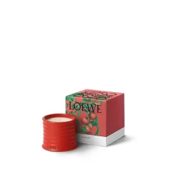 New LOEWE Tomato Leaves Candle Dufte Til Hjemmet