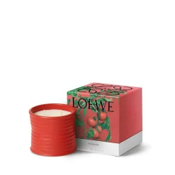 New LOEWE Tomato Leaves Candle Dufte Til Hjemmet