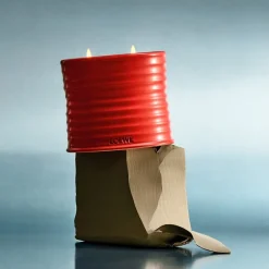 New LOEWE Tomato Leaves Candle Dufte Til Hjemmet