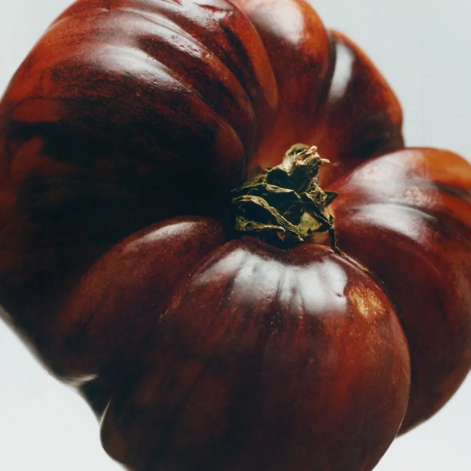 Loewe Perfumes Dufte Til Hjemmet>LOEWE Tomato Leaves Incense Sticks