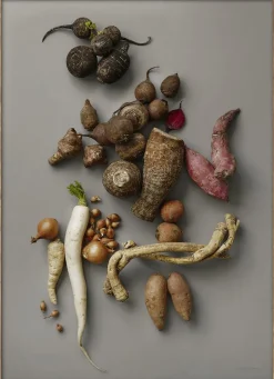 MAD/PLAKAT - Grå rødder- stilleben-Poster & Frame