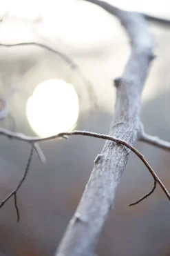 Replica By the Fireplace-Maison Margiela Clearance