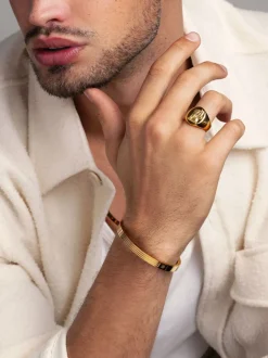 Sale Men's Stainless Steel Lion Crest Ring with Plating Smykker