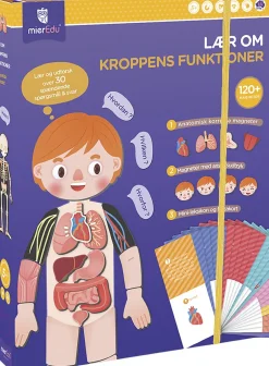Sale - Magnetisk legesæt - Lær om kroppens funktioner Børn Kreativitet