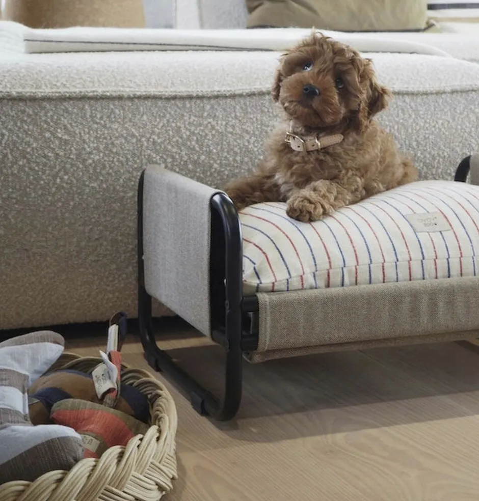 Hot Milo Hundeseng - Medium Til Boligens Kæledyr