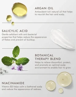 Moroccanoil Hårpleje><noscript><img width=