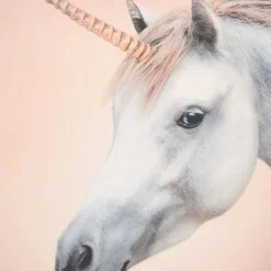 Børn Molo Overdele><noscript><img width=